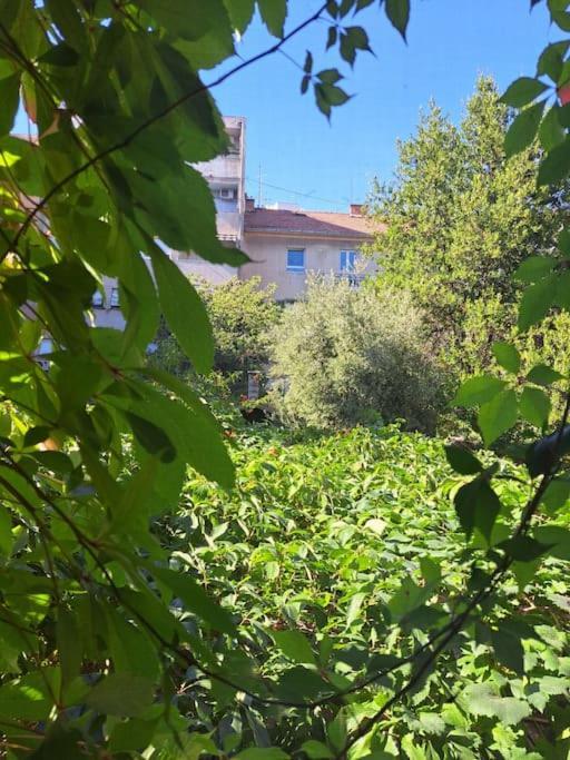 Emaus Garden - City Center & 2 Bth Split Exterior photo